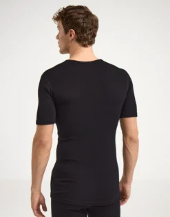 T-shirt med V-hals i merinould til mænd